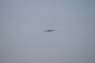 DSC_9584 (Large).JPG